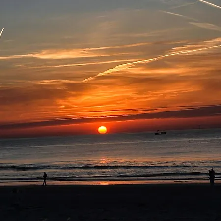 Scheveningen - * La Haye
