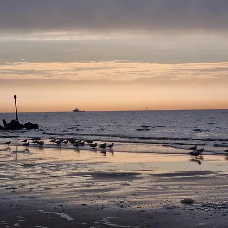 Appartamento Scheveningen - *